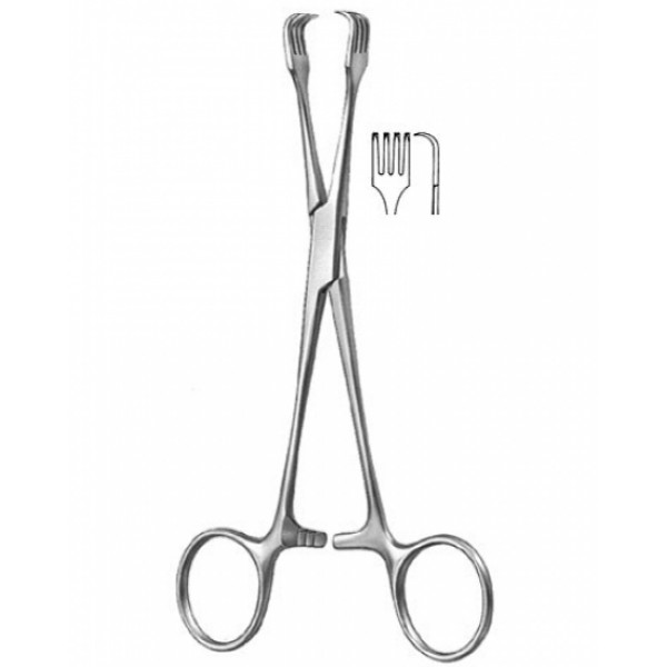 Gynecology